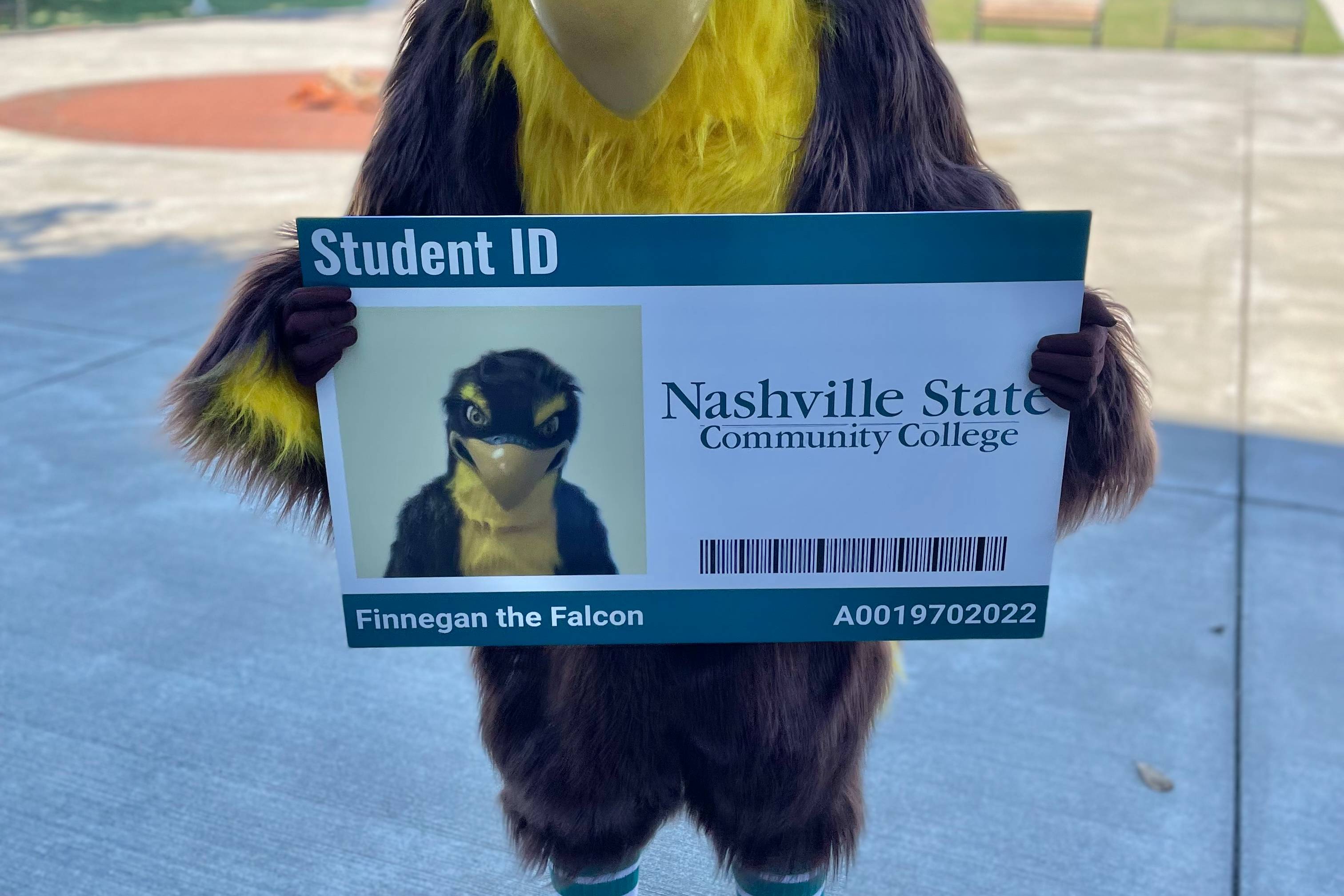 Nashville State Unveils Finn the Falcon