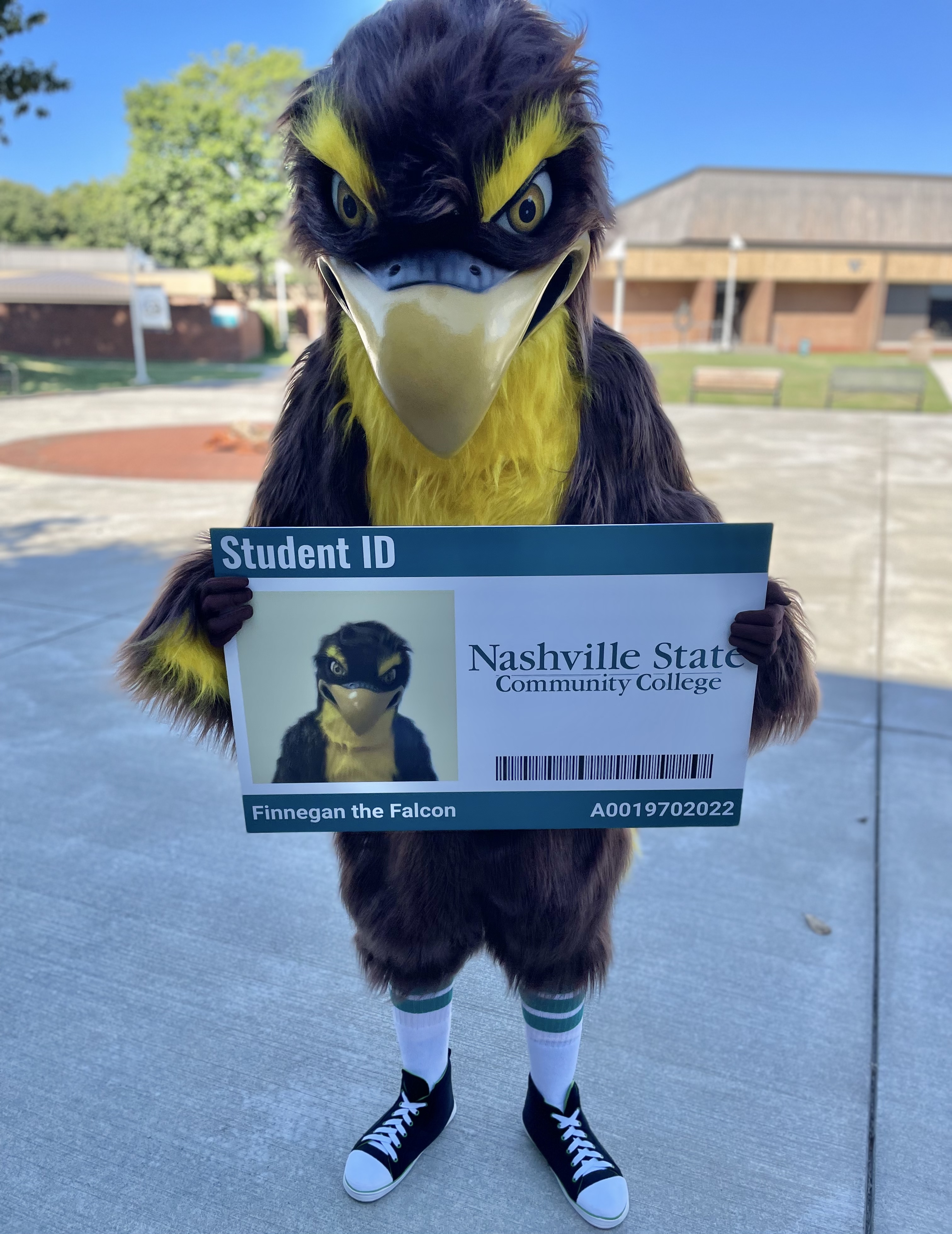 Nashville State's mascot Finn the Falcon